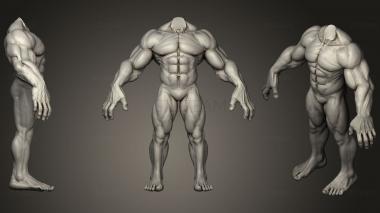 3D model Body Sculpt 15 (STL)